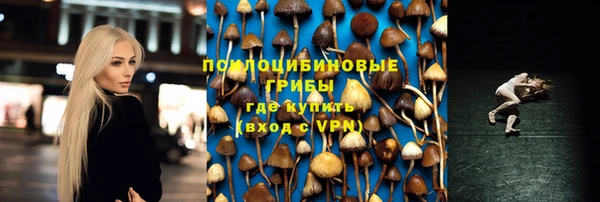 прущая мука Абаза
