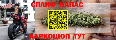 ГАЛЛЮЦИНОГЕННЫЕ ГРИБЫ Кинель