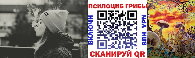 гидра вход Комсомольск-на-Амуре Псилоцибиновые грибы Psilocybine cubensis